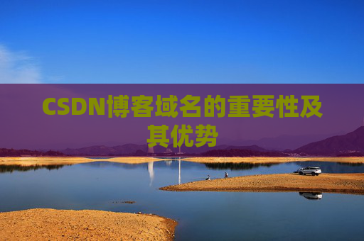 CSDN博客域名的重要性及其优势